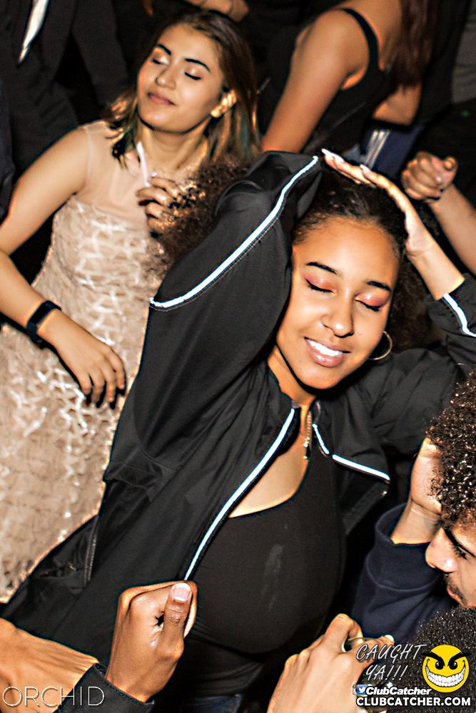 Orchid nightclub photo 78 - September 28th, 2019