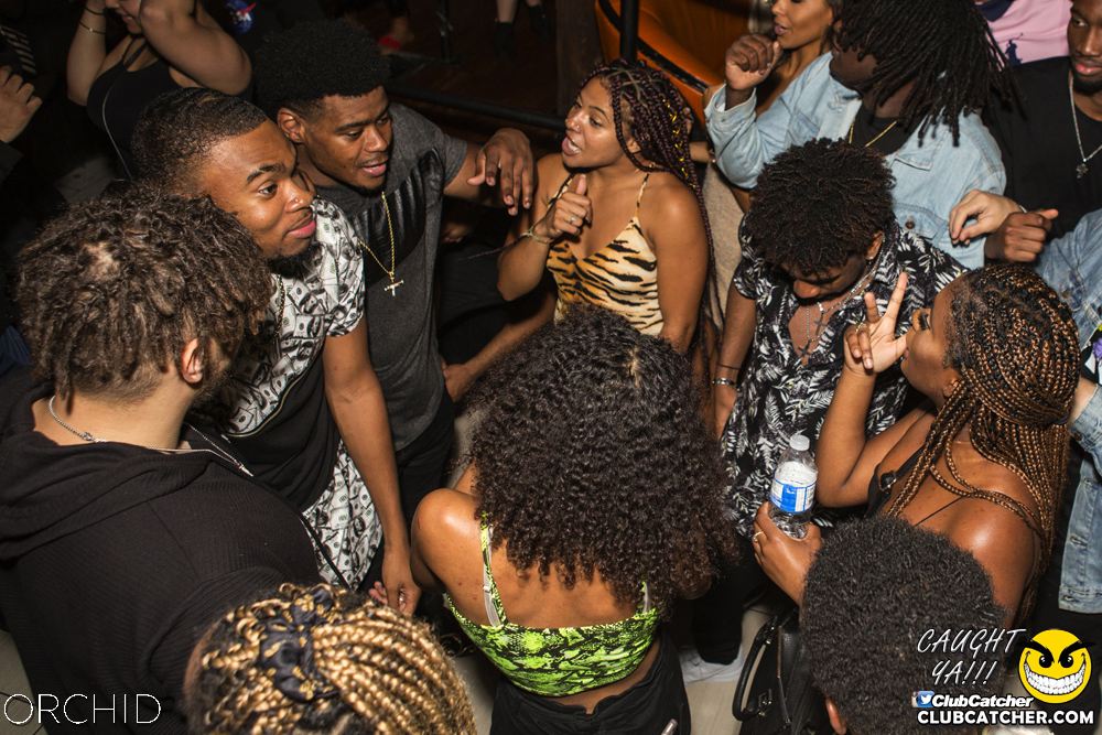 Orchid nightclub photo 79 - September 28th, 2019