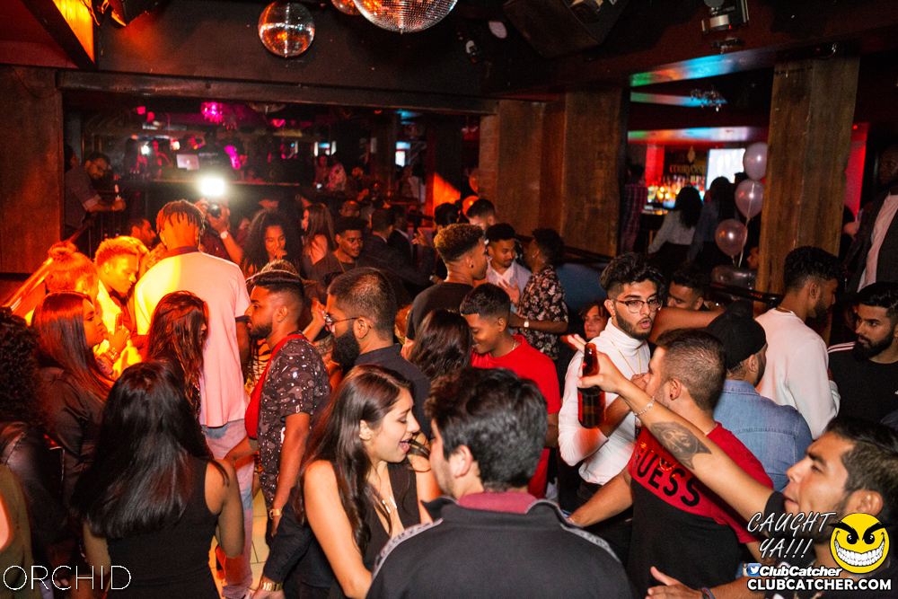Orchid nightclub photo 82 - September 28th, 2019