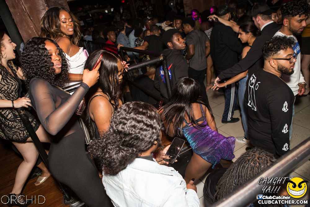 Orchid nightclub photo 85 - September 28th, 2019