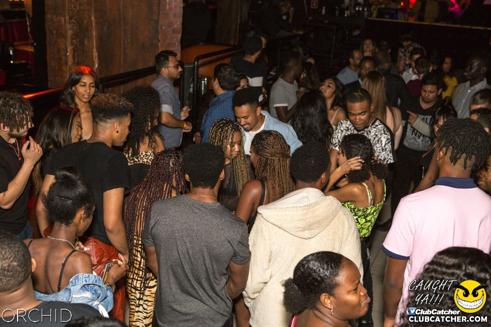 Orchid nightclub photo 89 - September 28th, 2019