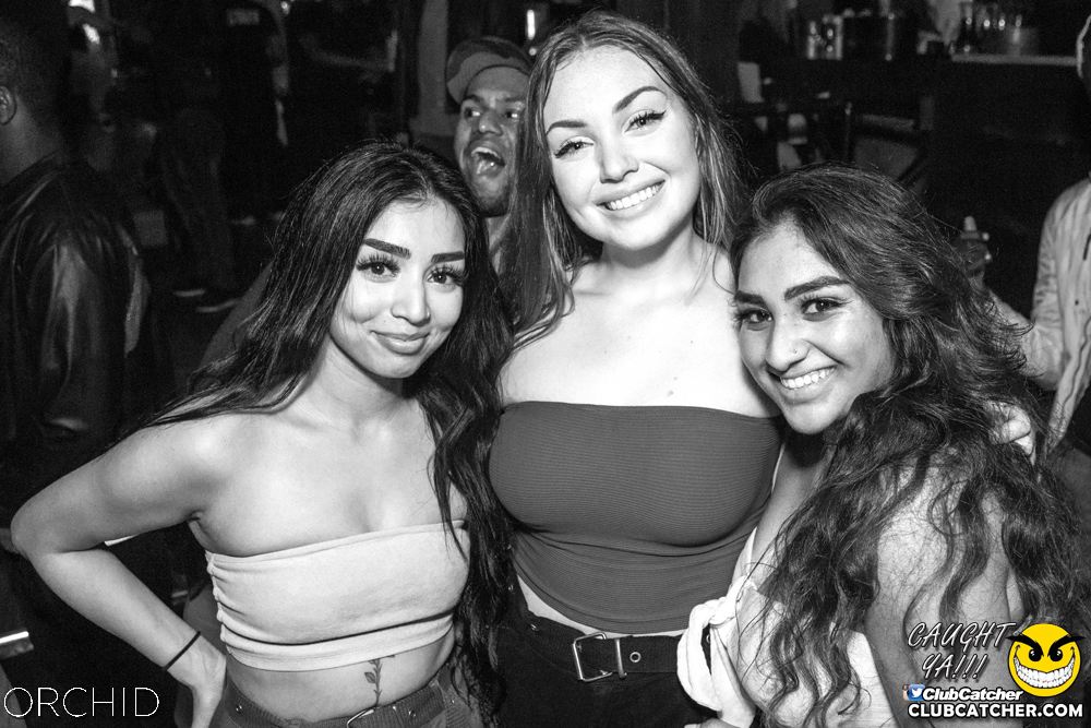 Orchid nightclub photo 90 - September 28th, 2019