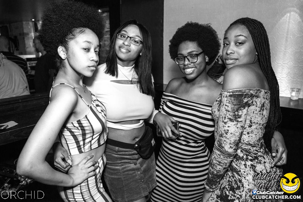 Orchid nightclub photo 96 - September 28th, 2019