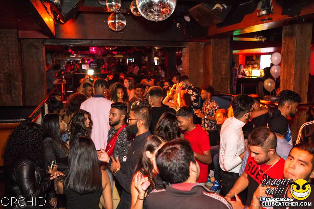 Orchid nightclub photo 99 - September 28th, 2019