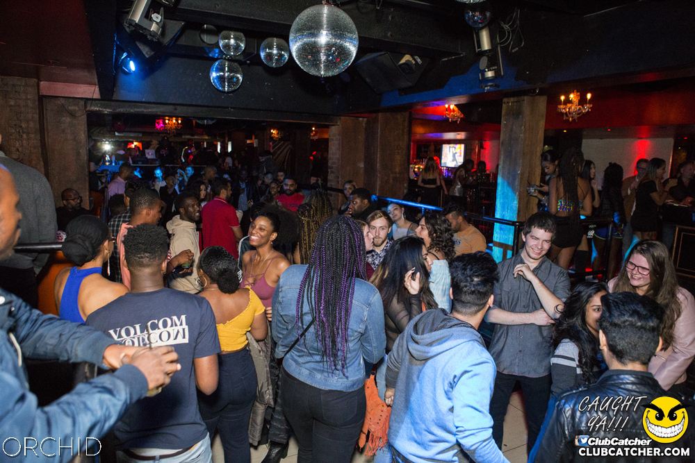 Orchid nightclub photo 1 - October 5th, 2019