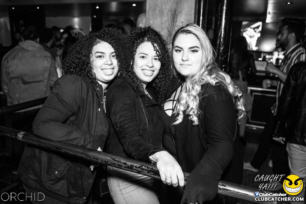 Orchid nightclub photo 121 - October 5th, 2019