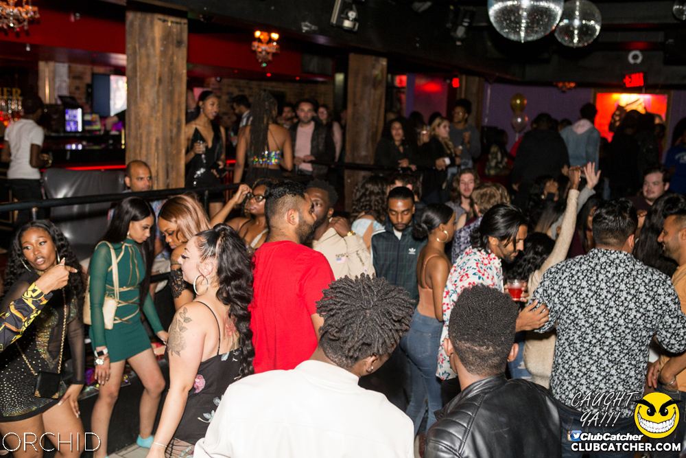 Orchid nightclub photo 17 - October 5th, 2019