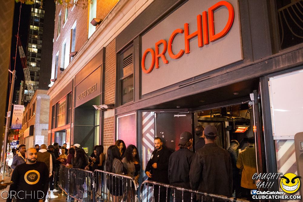 Orchid nightclub photo 21 - October 5th, 2019