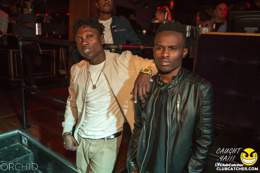 Orchid nightclub photo 28 - October 5th, 2019