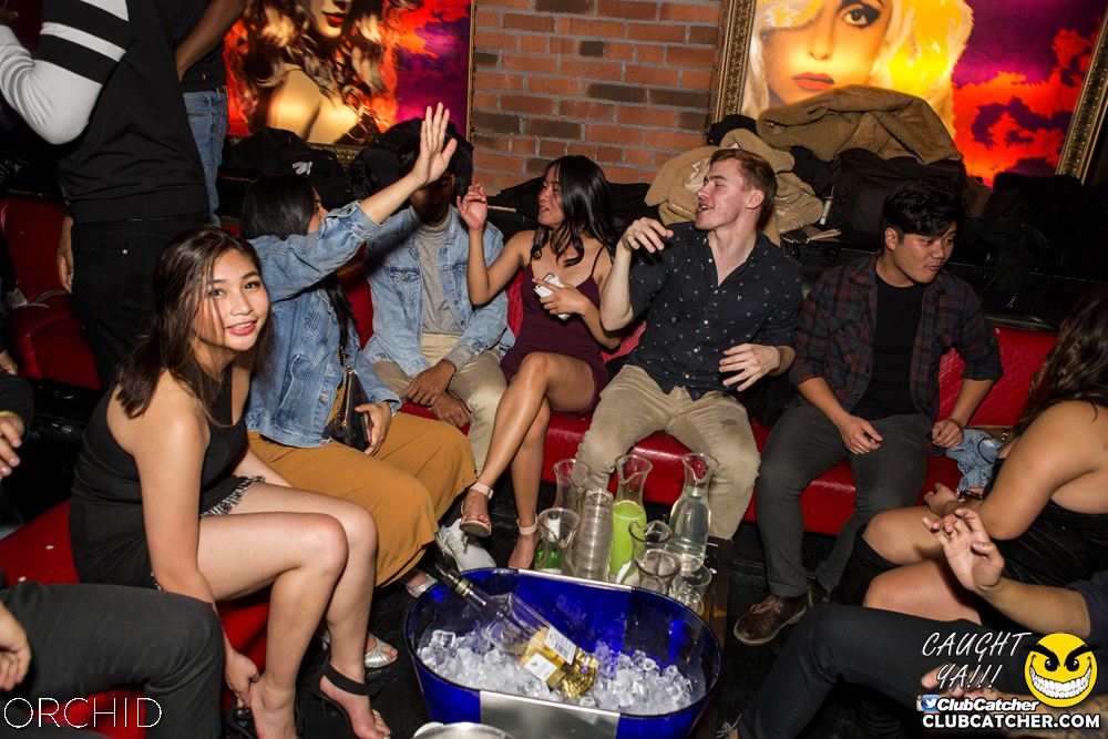 Orchid nightclub photo 32 - October 5th, 2019