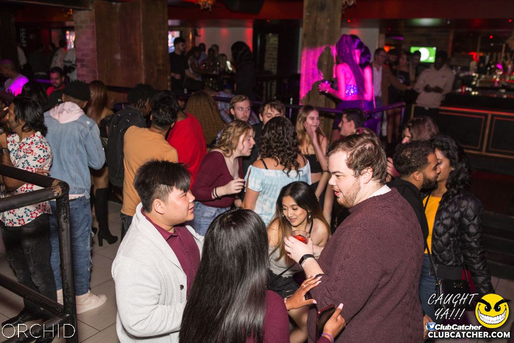 Orchid nightclub photo 35 - October 5th, 2019