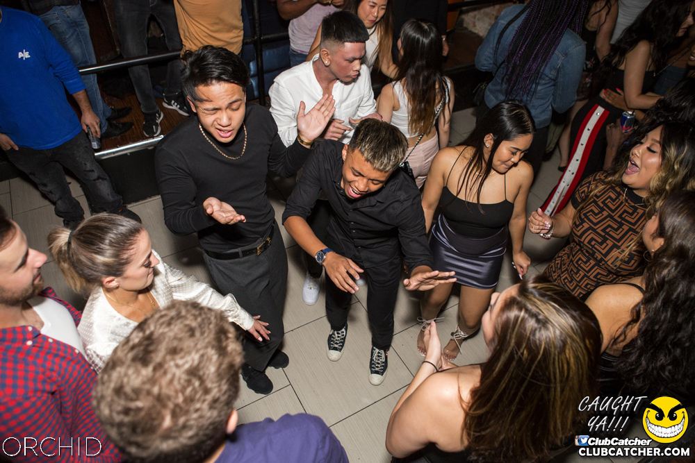 Orchid nightclub photo 38 - October 5th, 2019