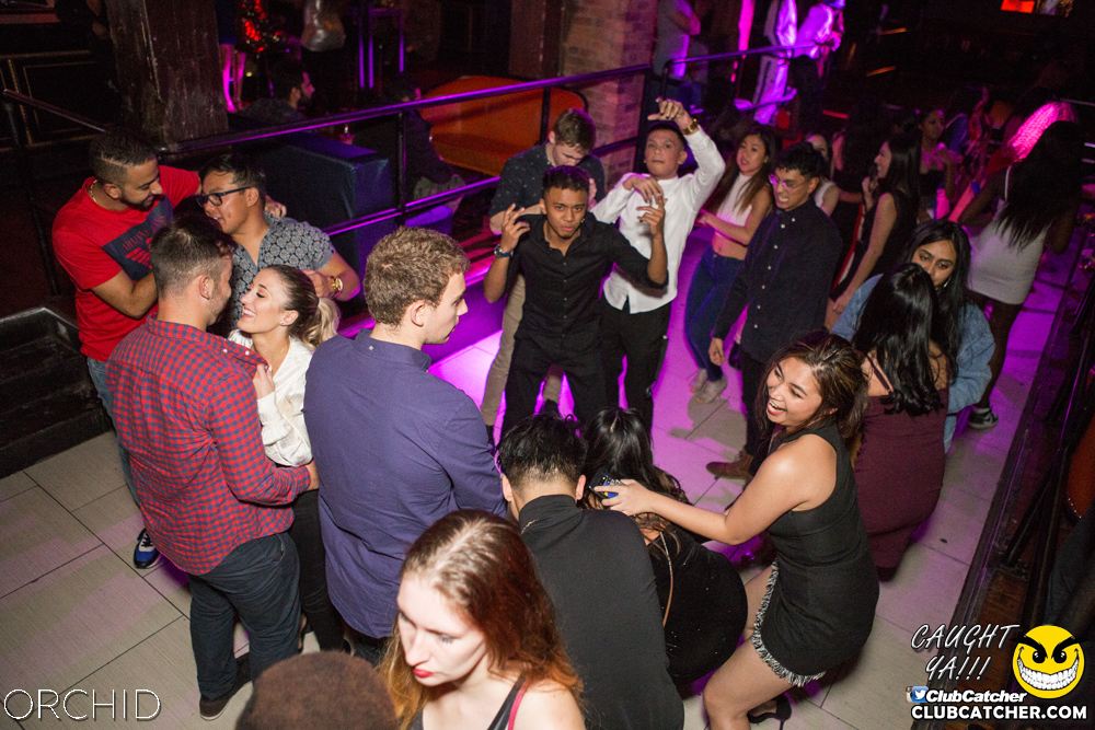 Orchid nightclub photo 43 - October 5th, 2019