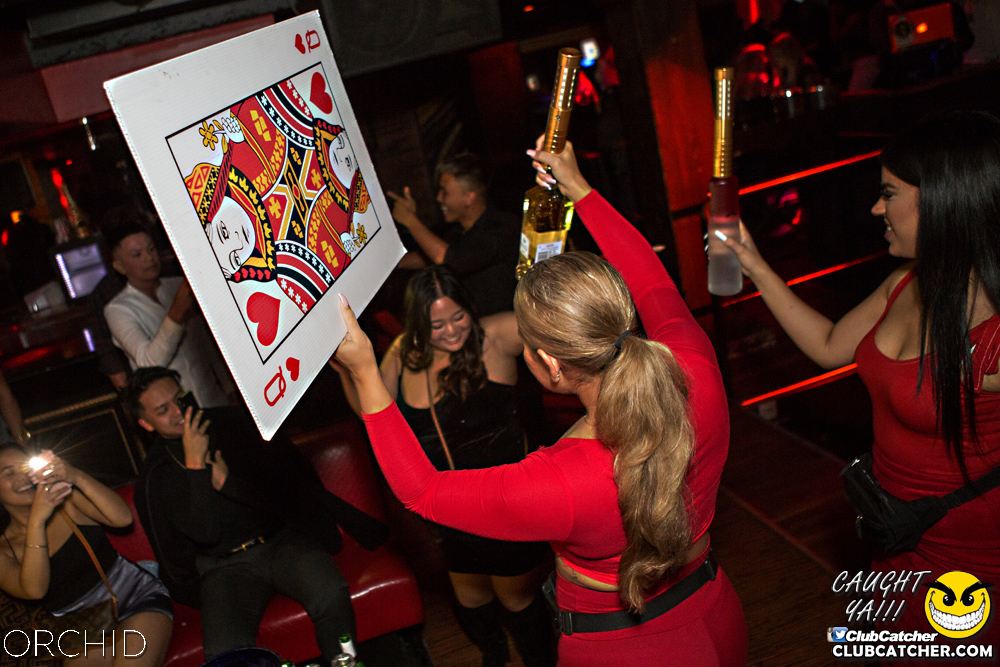 Orchid nightclub photo 45 - October 5th, 2019
