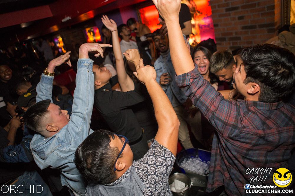 Orchid nightclub photo 49 - October 5th, 2019