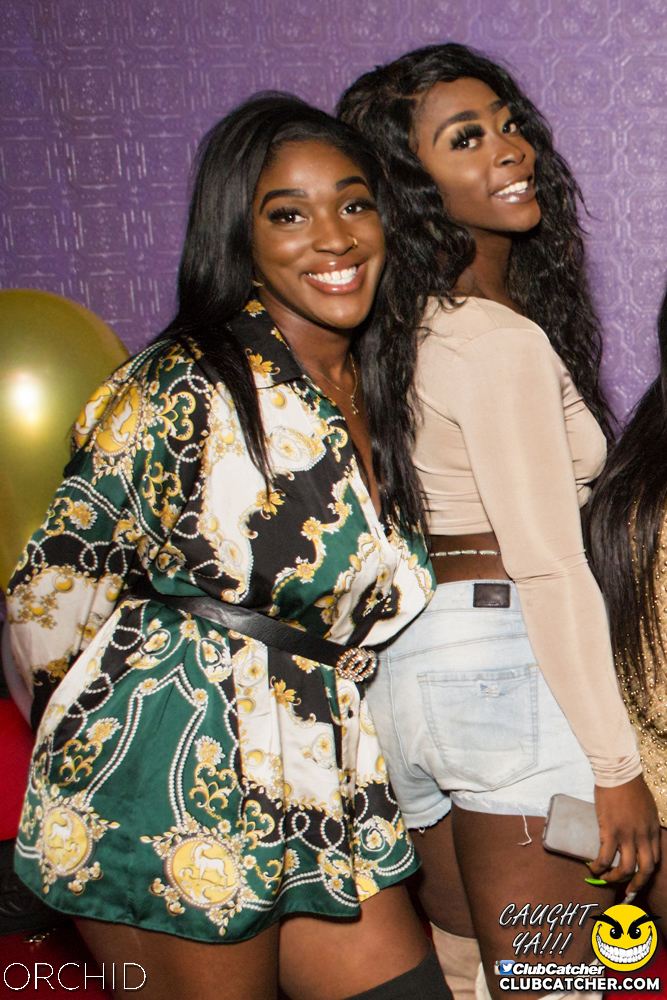 Orchid nightclub photo 52 - October 5th, 2019