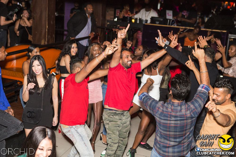Orchid nightclub photo 53 - October 5th, 2019