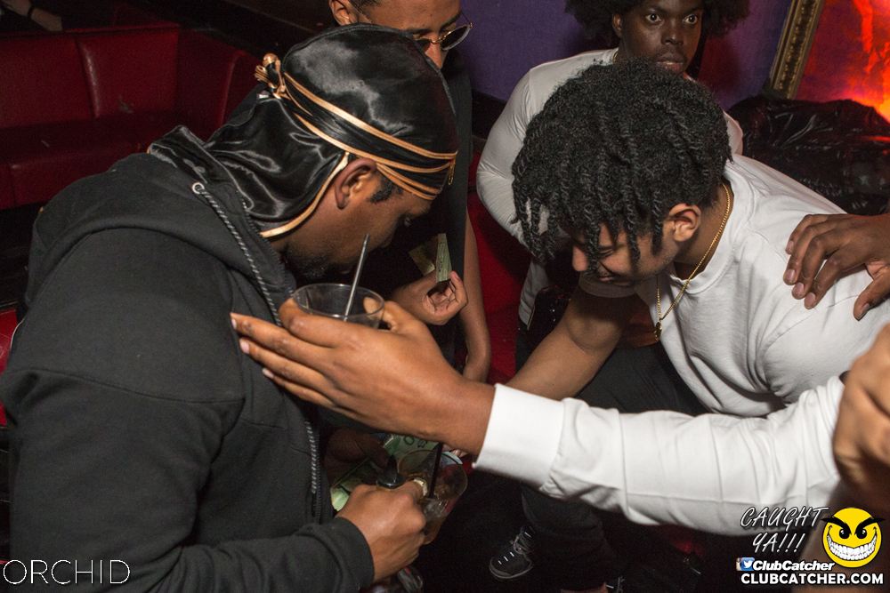 Orchid nightclub photo 54 - October 5th, 2019