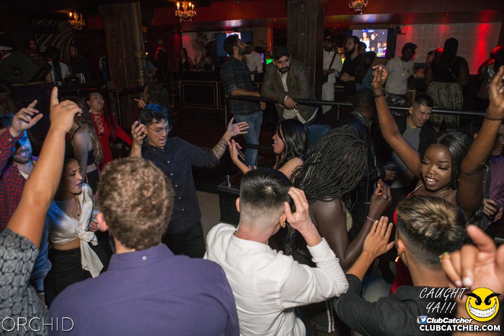 Orchid nightclub photo 57 - October 5th, 2019