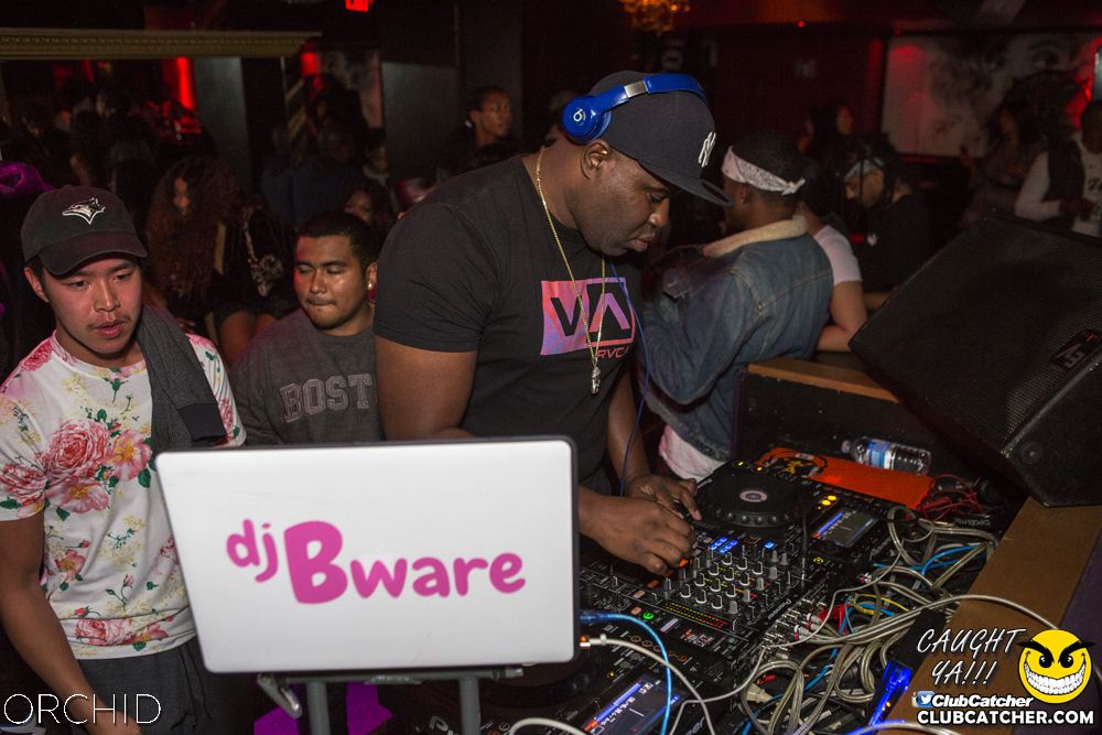 Orchid nightclub photo 61 - October 5th, 2019