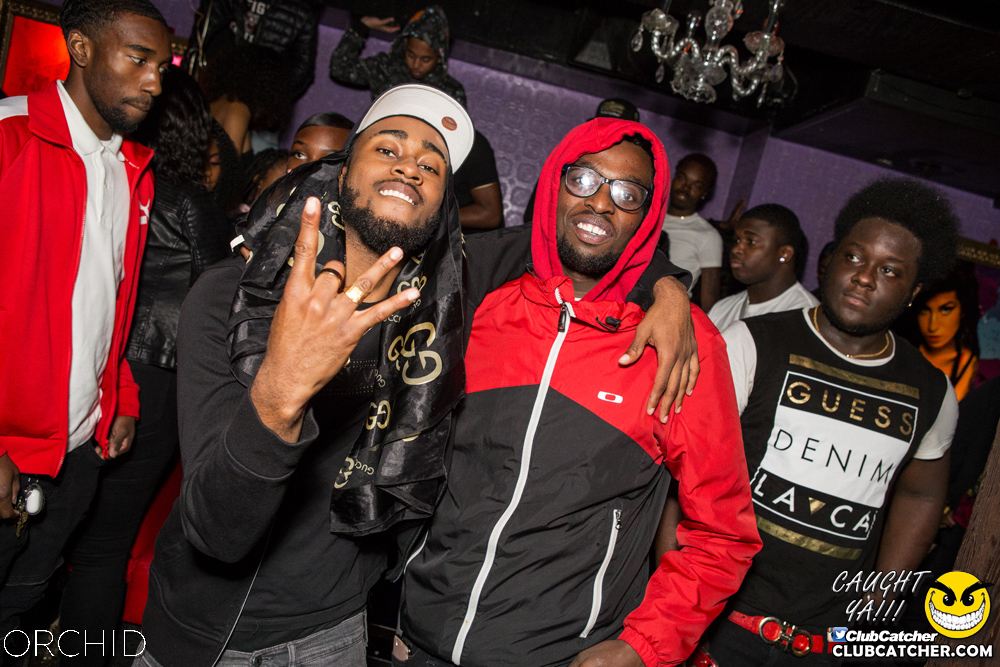 Orchid nightclub photo 63 - October 5th, 2019