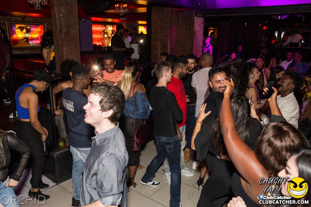 Orchid nightclub photo 67 - October 5th, 2019