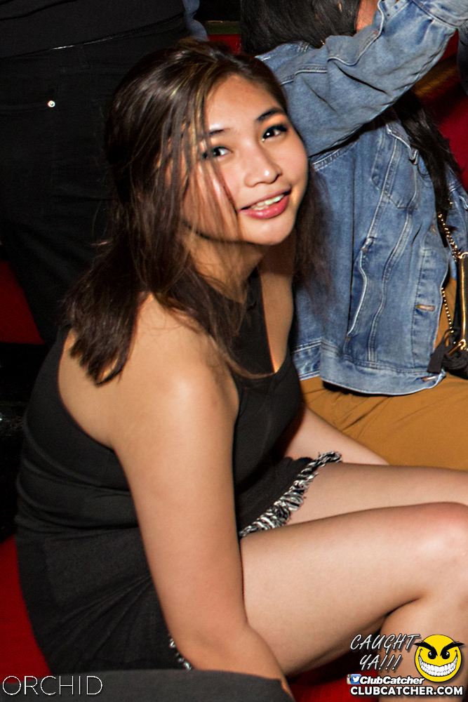 Orchid nightclub photo 68 - October 5th, 2019