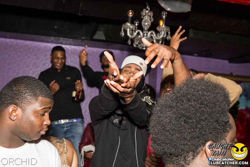 Orchid nightclub photo 69 - October 5th, 2019