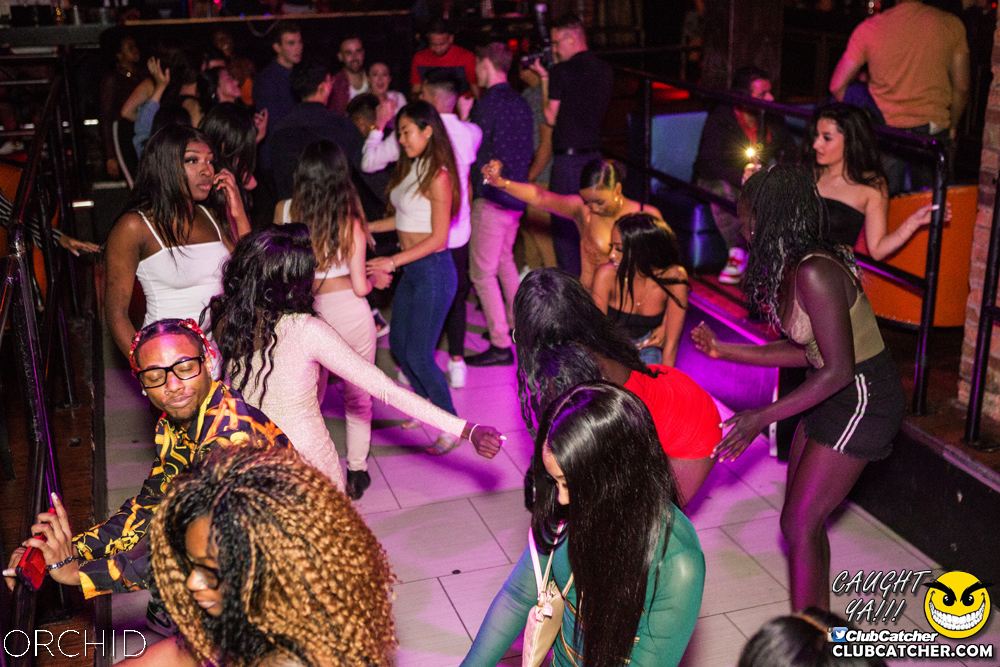 Orchid nightclub photo 75 - October 5th, 2019