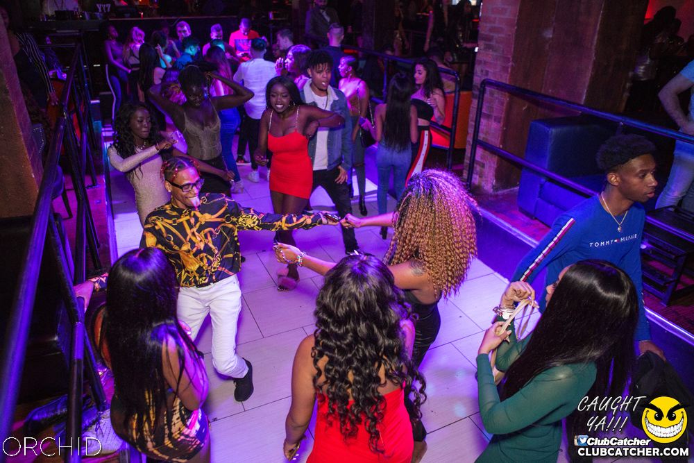 Orchid nightclub photo 76 - October 5th, 2019