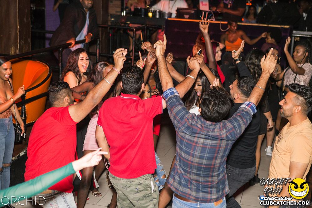 Orchid nightclub photo 77 - October 5th, 2019