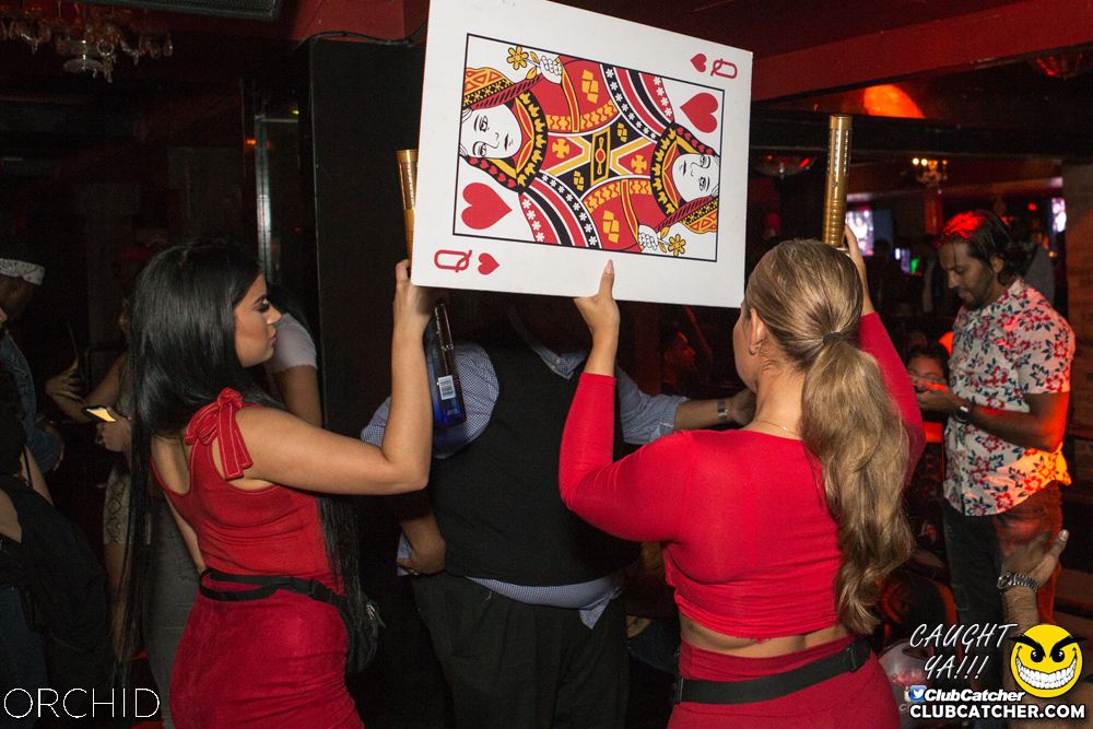 Orchid nightclub photo 83 - October 5th, 2019