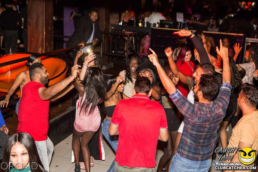 Orchid nightclub photo 86 - October 5th, 2019