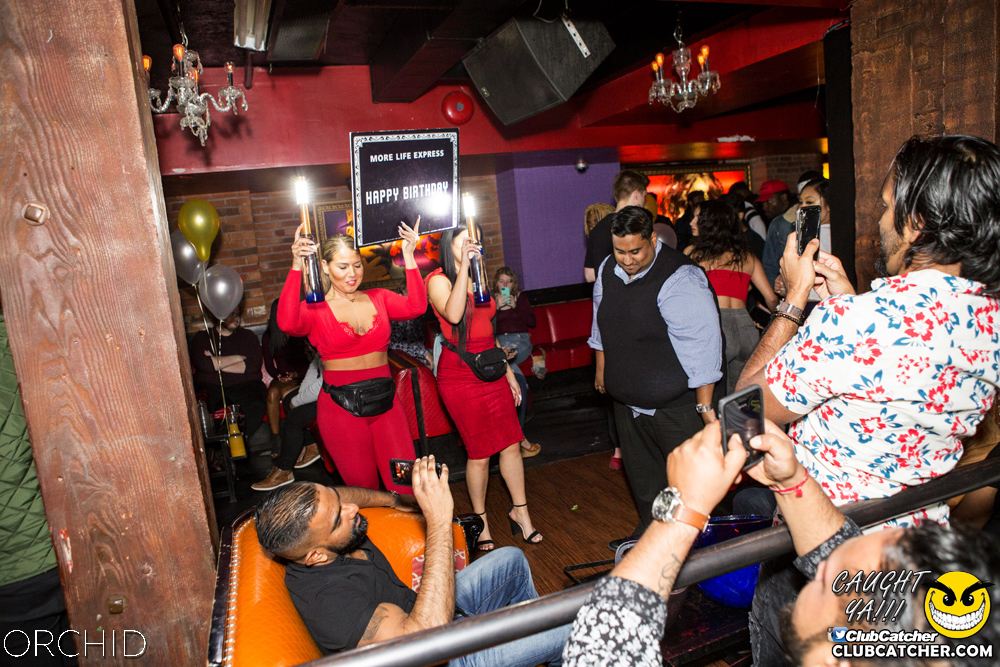 Orchid nightclub photo 90 - October 5th, 2019