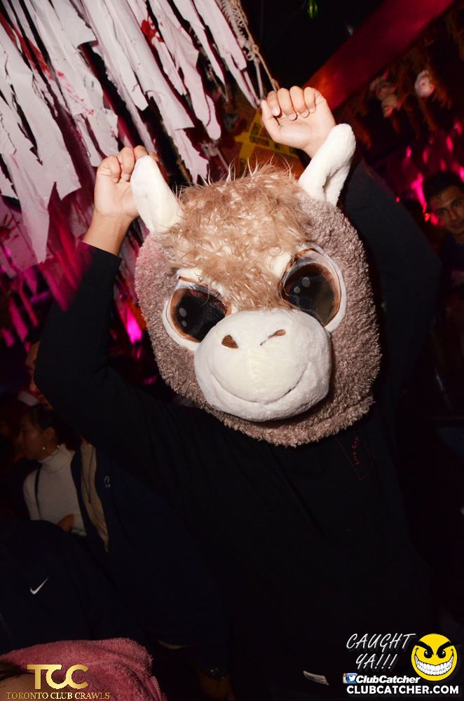 Club Crawl party venue photo 373 - October 26th, 2019