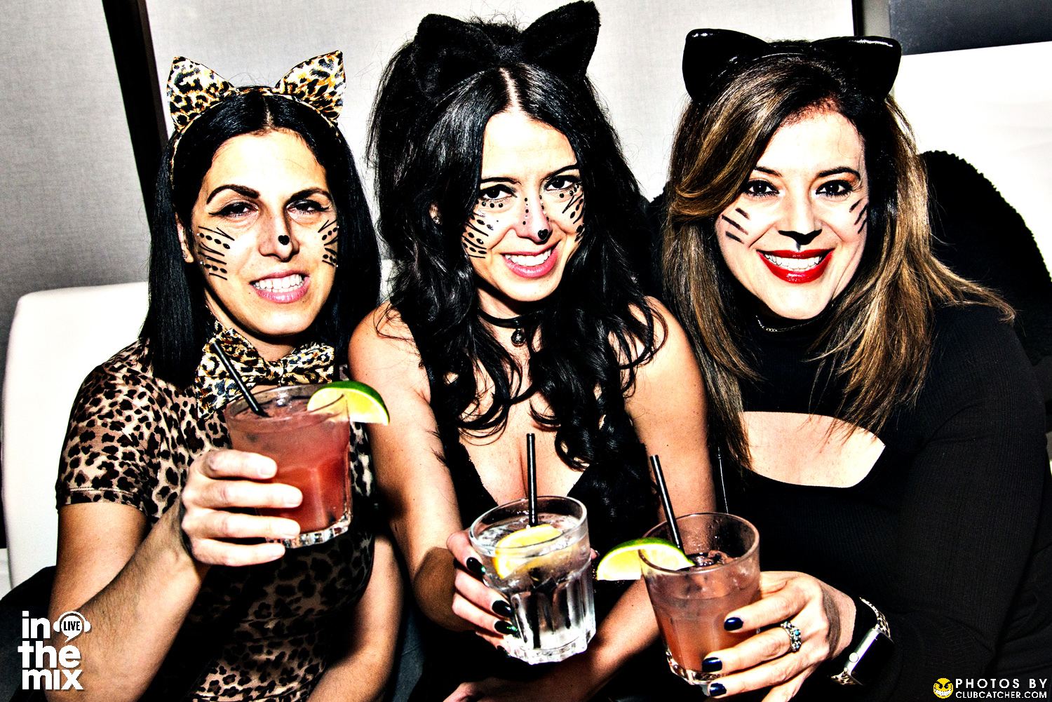 Muse party venue photo 244 - October 30th, 2021