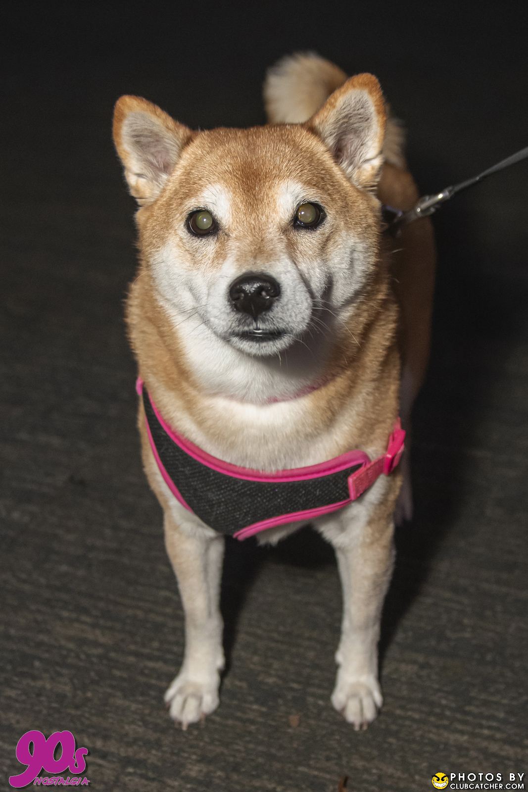 90s Nostalgia festival photo 521 - October 28th, 2023