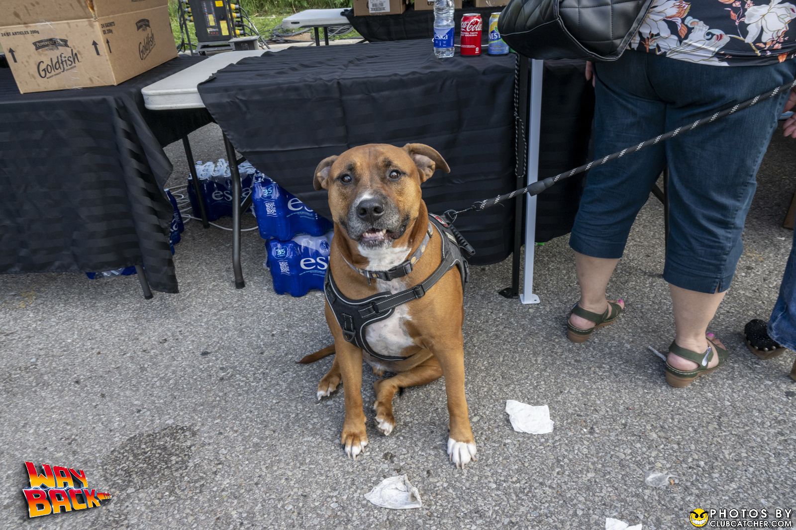 Waybacks festival photo 111 - August 24th, 2024