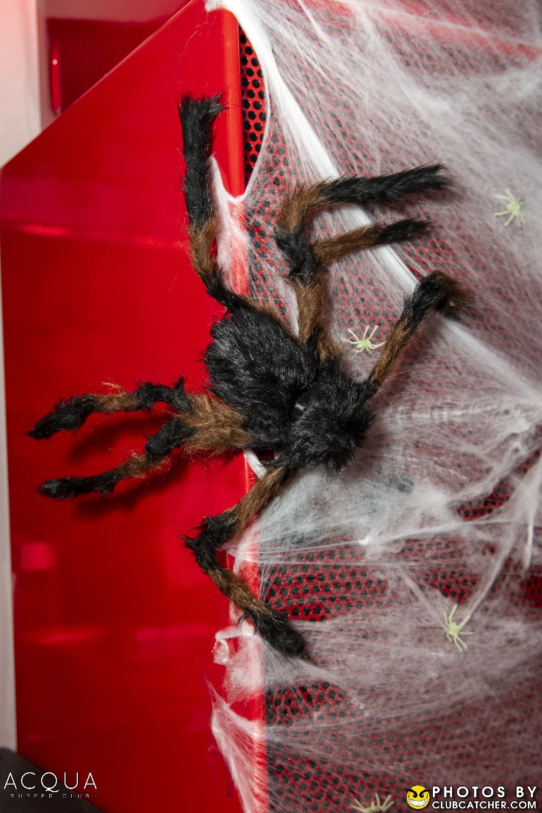 Acqua Supperclub party venue photo 72 - October 29th, 2025