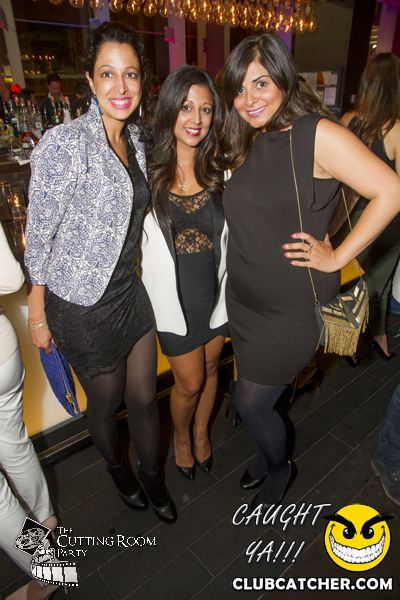 Thompson Hotel party venue photo 56 - September 7th, 2013