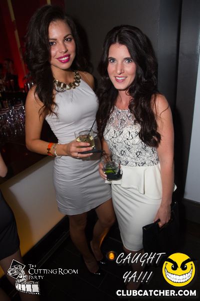 Thompson Hotel party venue photo 21 - September 28th, 2013