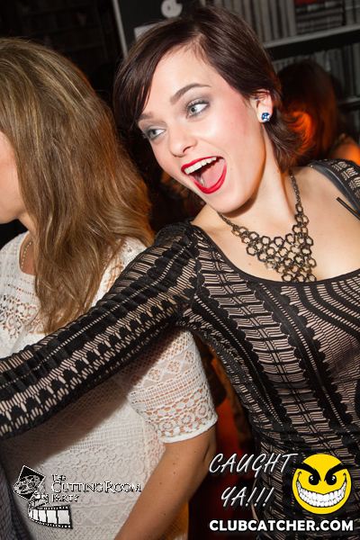 Thompson Hotel party venue photo 36 - September 28th, 2013