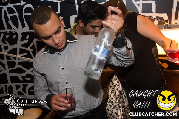 Thompson Hotel party venue photo 88 - September 28th, 2013