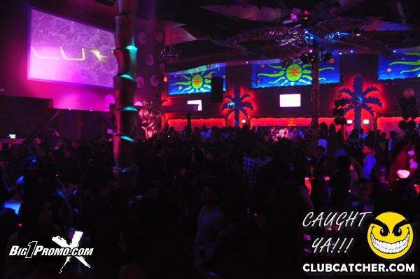 Luxy nightclub photo 21 - October 18th, 2013
