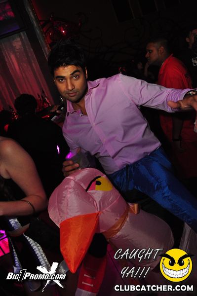 Luxy nightclub photo 228 - October 31st, 2013