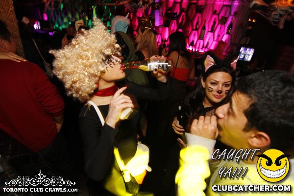 Club Crawl party venue photo 298 - October 31st, 2013