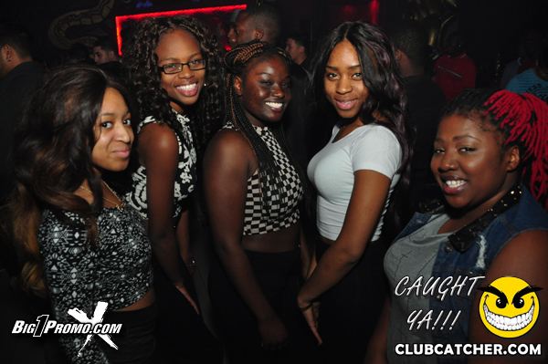 Luxy nightclub photo 16 - November 1st, 2013