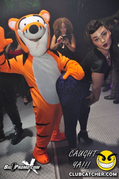 Luxy nightclub photo 13 - November 30th, 2013