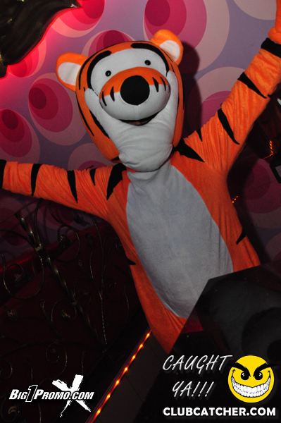 Luxy nightclub photo 132 - November 30th, 2013