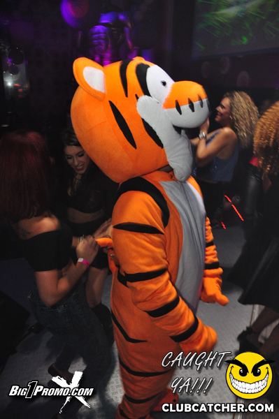 Luxy nightclub photo 229 - November 30th, 2013